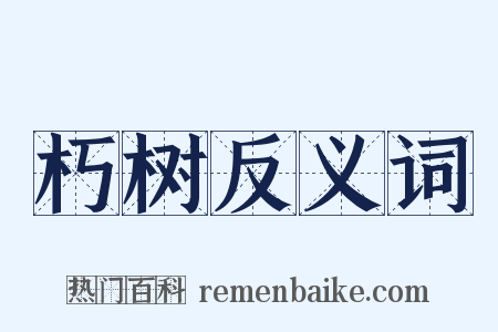 朽树反义词是什么意思的图片